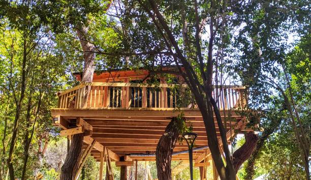 Gallery Image Of Budhanilkantha Tree House