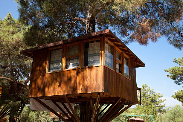 Gallery Image Of Budhanilkantha Tree House