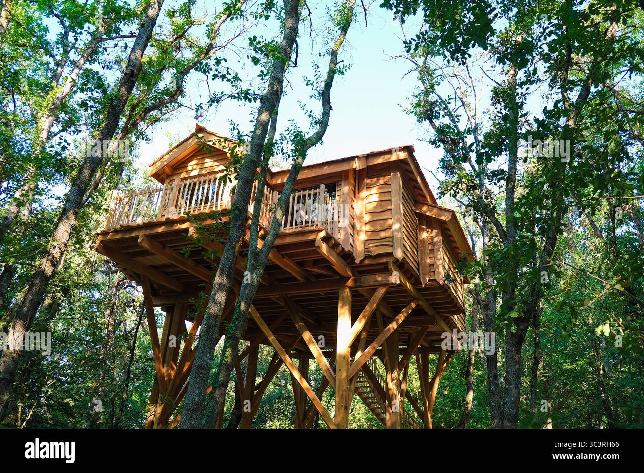 Gallery Image Of Budhanilkantha Tree House
