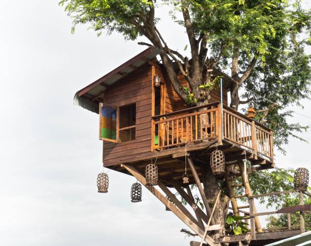 Gallery Image Of Budhanilkantha Tree House